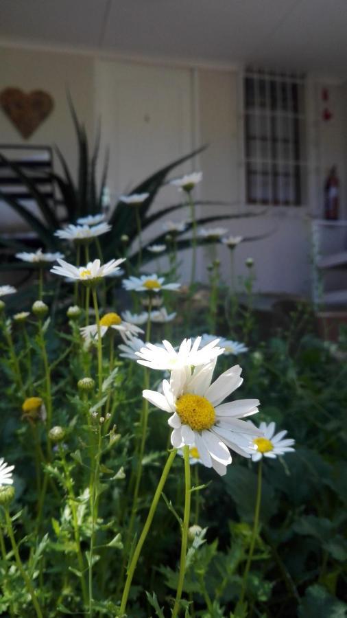 Country Lane Guesthouse Howick Buitenkant foto